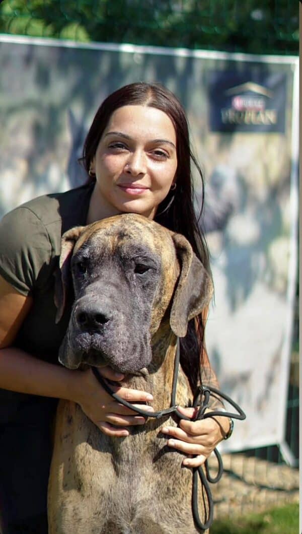 Érica, da equipa do Dog Eco Resort, com um cachorro ao colo