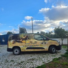Carrinha do Pet Taxi do Dog Eco Resort